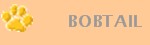 Nuestros Bobtail