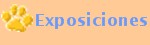 Exposiciones
