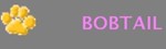 Nuestros Bobtail